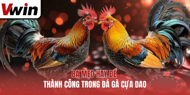 Ba Mẹo Hay Để Thành Công Trong Đá Gà Cựa Dao