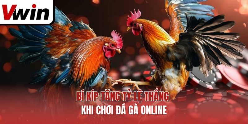 Bí kíp tăng tỷ lệ thắng khi chơi đá gà online