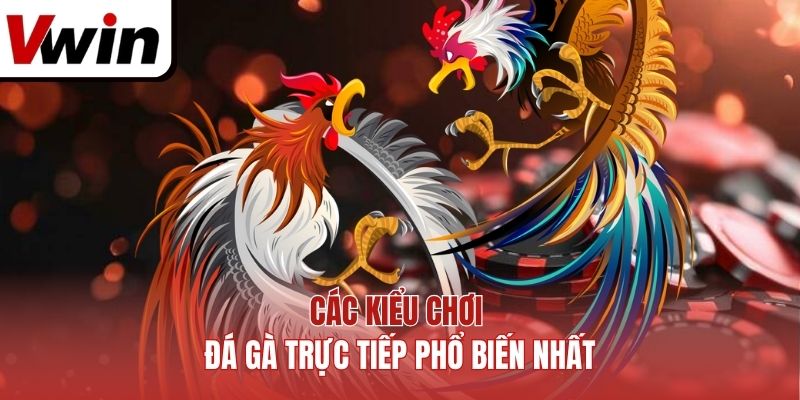 Các Kiểu Chơi Đá Gà Trực Tiếp Phổ Biến Nhất