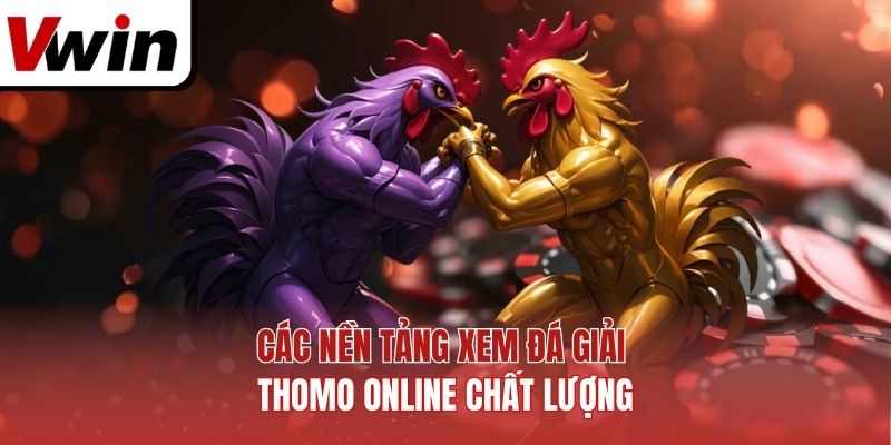 Các nền tảng xem đá giải Thomo online chất lượng