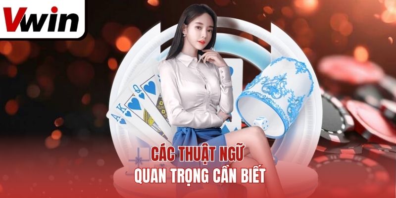 Các thuật ngữ quan trọng cần biết