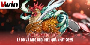 Đá Gà Mạng Là Gì? Lý Do Và Mẹo Chơi Hiệu Quả Nhất 2025