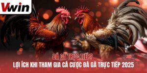 Đá Gà Trực Tiếp? Lợi Ích Khi Tham Gia Cá Cược Đá Gà Trực Tiếp