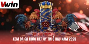 Đá Giải Thomo? Xem Đá Gà Trực Tiếp Uy Tín Ở Đâu Năm 2025