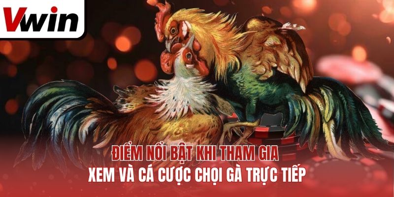 Điểm Nổi Bật Khi Tham Gia Xem Và Cá Cược Chọi Gà Trực Tiếp