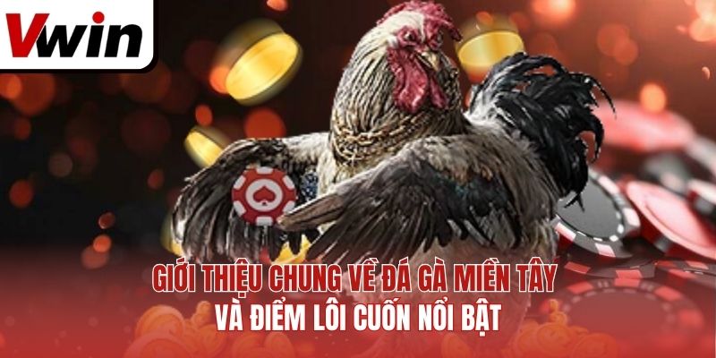 Giới thiệu chung về đá gà miền Tây và điểm lôi cuốn nổi bật