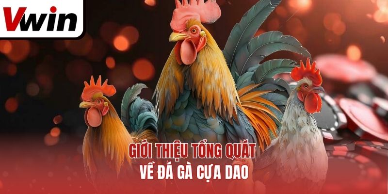 Giới Thiệu Tổng Quát Về Đá Gà Cựa Dao