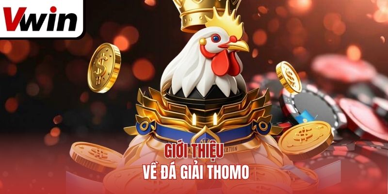 Giới thiệu về đá giải Thomo