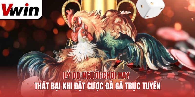 Lý do người chơi hay thất bại khi đặt cược đá gà trực tuyến