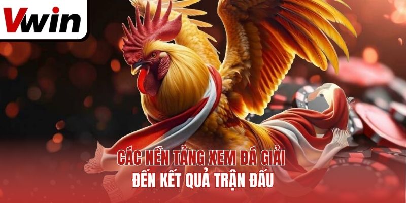 Nghiên Cứu Những Yếu Tố Ảnh Hưởng Đến Kết Quả Trận Đấu