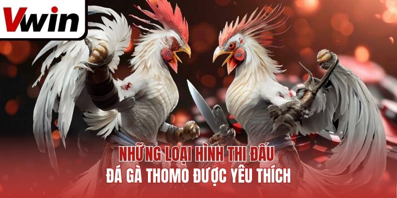 Những loại hình thi đấu đá gà Thomo được yêu thích