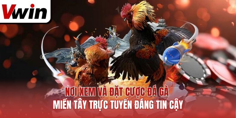 Nơi xem và đặt cược đá gà miền Tây trực tuyến đáng tin cậy