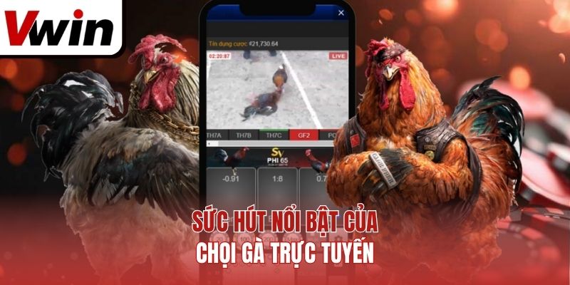 Sức hút nổi bật của chọi gà trực tuyến