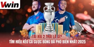 Tài Xỉu 2 Trái Là Gì? Tìm Hiểu Kèo Cá Cược Bóng Đá Phổ Biến Nhất 2025