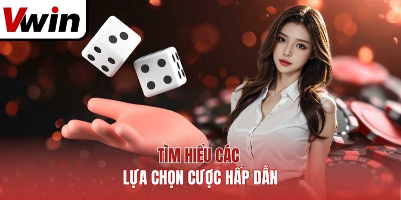 Tìm hiểu các lựa chọn cược hấp dẫn