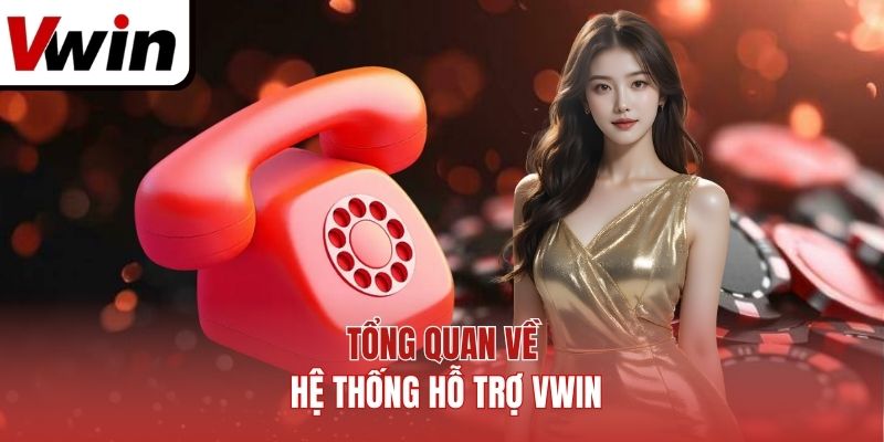 Tổng quan về hệ thống hỗ trợ Vwin